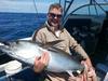 Bluefin Feb 2014